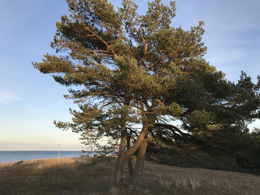 Zum Nordstrand 普雷罗 外观 照片
